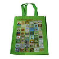 定西LB11覆膜无纺布广告袋