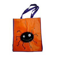 定西KB05 覆膜无纺布袋（可定制）